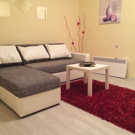 Apartment Old Town Podgorica Rum bild